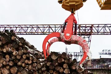 лісове господарство