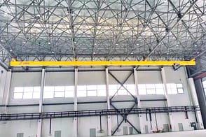 multi fulcrum suspension crane5