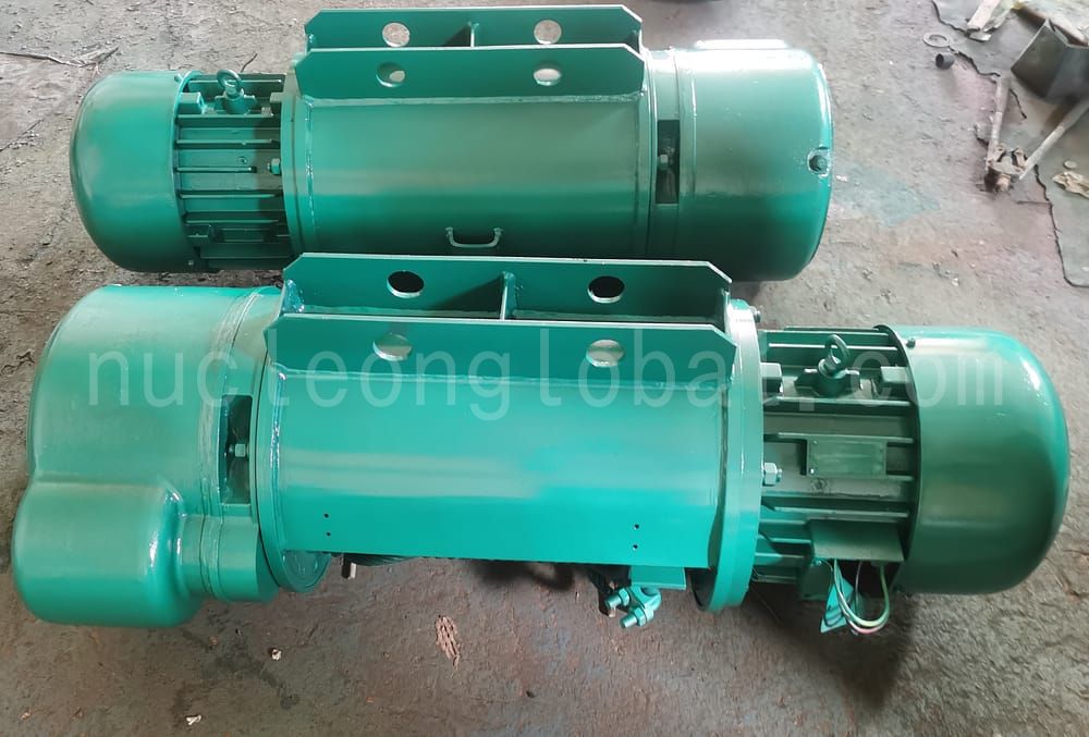 Crane motor