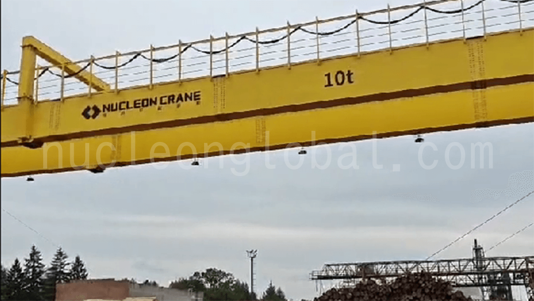 T Gantry Crane